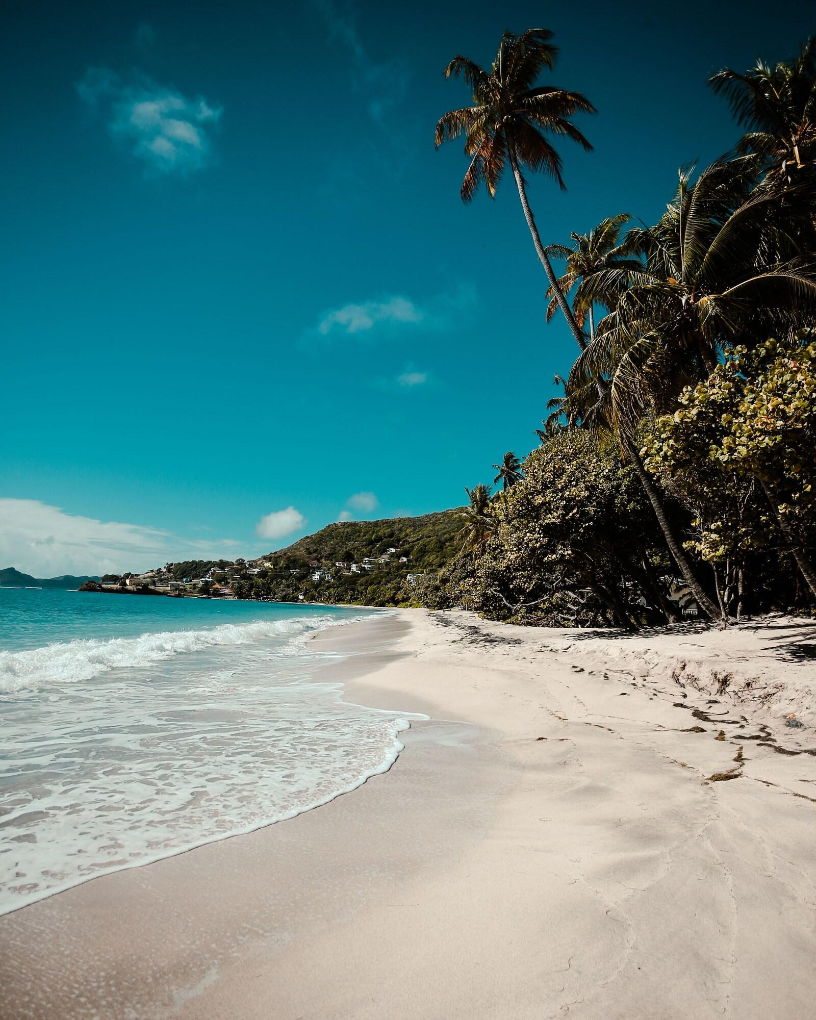 פורט אליזבת' Bequia Beach מראה חיצוני תמונה